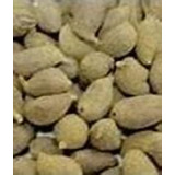 Amendoim Forrageiro / Arachis Pintoi 100g = 700 Sementes 