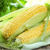 2 Kilo De Semente  Milho Verde Híbrido Biomatrix 3061