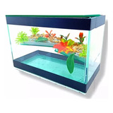 Terrário Aquário Para Tartarugas Jabuti Pequeno 20x10x15 Cm