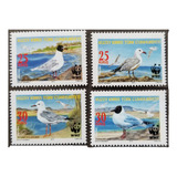 2010 Wwf Fauna- Aves Gaviotas- Chipre Turco (sellos) Mint