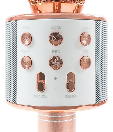 Altavoz Bluetooth Para Karaoke Con Micrófono, Color Rosa/dorado, Ws858