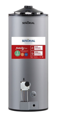 Termotanque Señorial 50 Litros Family Alta Recuperacion