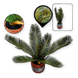 Planta Artificial Maceta Plantin Bonsai Palmera 35cm