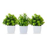 Planta Artificial Arranjo Com Folhagem Vaso Kit 3