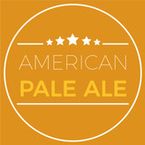 Kit Insumos Cerveza Artesanal American Pale Ale X 20 Lts