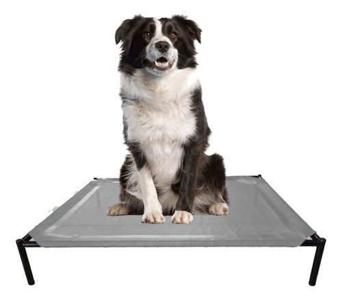 Catre Cucha Cama Para Perro Grande 90x75 Cm Lavable