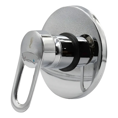 Llave Mezcladora Monocomando Pared Rugo 34-mc Plateado