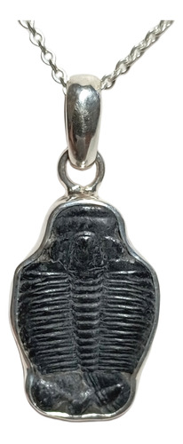 Dije De Trilobite Con Plata 925