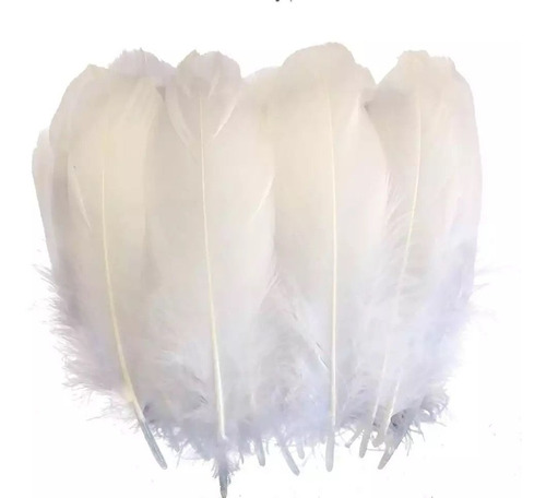 Plumas Decorativas Artificiales Color Blanco Paquete X 100