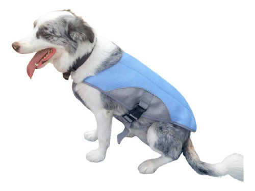 Chaleco De Refrigeración De Verano Para Perros, Ropa Para Ma