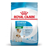 Royal Canin Starter Mother And Baby Dog 6.36 Kg Oferta 