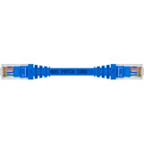 Kit 50 Un. Cabo Para Internet Cat5e Rj45 20 Cm + Brindes