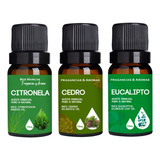 3 Aceites Esenciales Naturales Eucalipto, Cedro Citronela