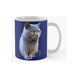 Taza British Shorthair Cat Blue Calidad Premium