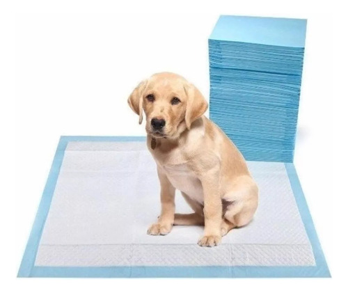 Tapete Blanco Pañal Absorbente Entrenador Cachorros 25 Pzas 