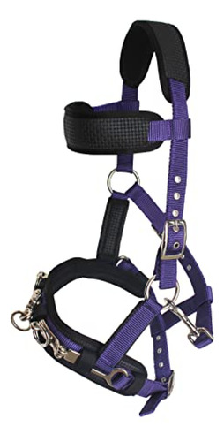 Jaquima Para Caballo Equitacion Challenger Nylon Cob Purple