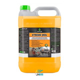 Protelim Xtreme Mol 5l - Detergente Desengraxante