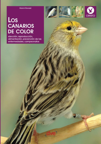 Libro: Los Canarios De Color (spanish Edition)