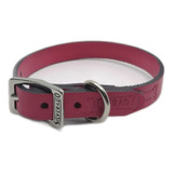 Collar Piel Para Perro Mini/ Chico Huesito 1x32cm Silverado