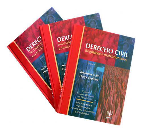Serie Regímenes Matrimoniales, Sucesiones, Testamentos Y L, De Ambroise Colin Y Henry Capitant. 8380911, Vol. 1. Editorial Editorial Promolibro, Tapa Blanda, Edición 2002 En Español, 2002