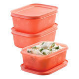 Hermético X3 Practifreezee 450ml Frozen Freezer Tupperware 