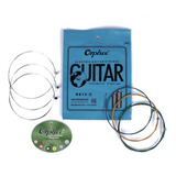 10 Pak Cuerdas Guitarra Electrica Orphee T/ Ernie Ball V/cal