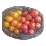 350 Semillas De Tomate Cherry Mix Variedades Prosperidad