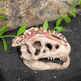 Mtghyaya Decoración De Acuario Mini Dinosaurio Cráneo Tanq