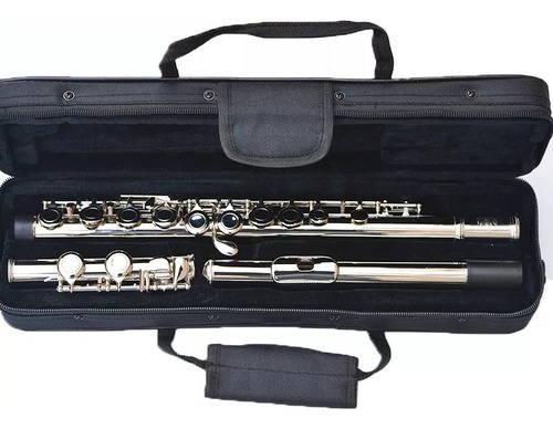 Flauta 16 Chaves Em Dó - Com Acessórios E Garantia - Moresky