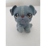 Littlest Pet Shop Bulldog 2