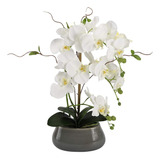 Ihealthcomfort Flores Artificiales De Orquidea Blanca Sintet