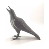 Corvo - Pássaro Para Decoração