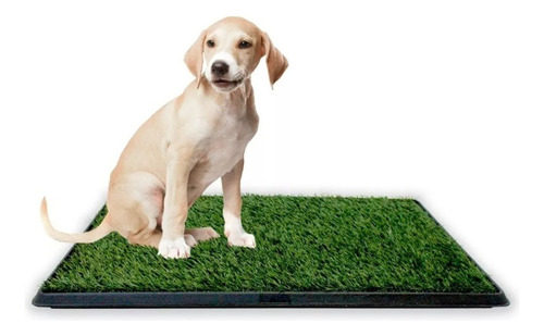 Baño Ecológico Xxl Perros Gatos Doggy Potty Petwoow R1032