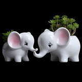 2 Cajas Para Ventana De Plantas, Diseño De Elefante, Maceta