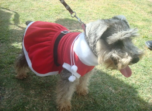 Vestido Santa Claus Talla 5 Para Perra Navidad