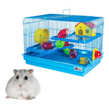 Gaiola Hamster Casa De Hamster Super Completa Com Acessórios