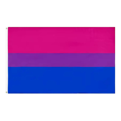 Bandera Orgullo Bisexual Comunidad Pride Lgbt 90x150cm | Meses sin interés