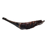 Shofar Carnero Kosher Spdf050 Enseñanza + Envío 35.8cm