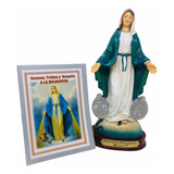 Virgen Milagrosa En Porcelana Firenzi 21cm + Novena