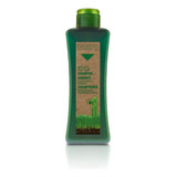 Salerm Biokera Natura Shampoo Cabello Graso 300ml