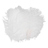 10pcs Plumas De Avestruz Blancas Decoraciones Para Banquetes