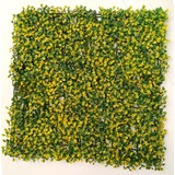 Follaje Artificial Muro Verde 3m2 Boxwood Yellow Panel 25x25