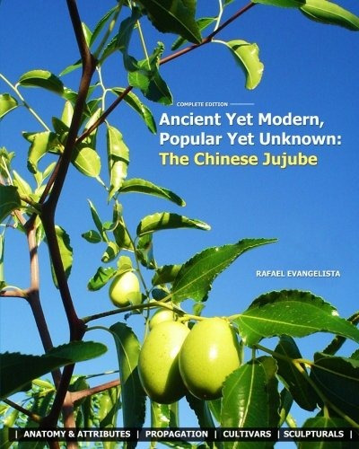 Ancient Yet Modern, Popular Yet Unknown The Chinese Jujube A