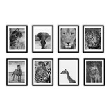 Set De 8 Cuadros - Animales De La Selva - 15x21 Cm