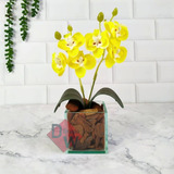 Arranjo Orquídea Artificial + Vaso Vidro Com Cascalho