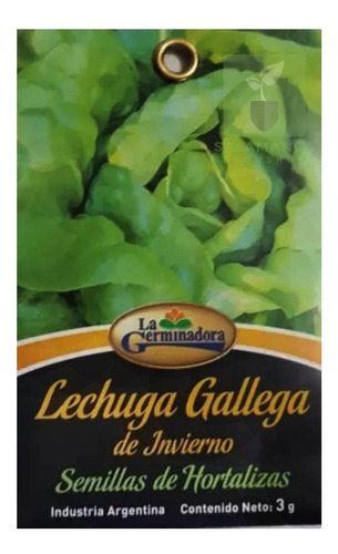 Semillas Lechuga Gallega Invierno La Germinadora