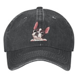 Intfulihu Boston Terrier Gorra De Béisbol Algodón Sombrero D