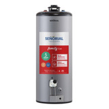 Termotanque Multigas Señorial Family 85l Carga Superior