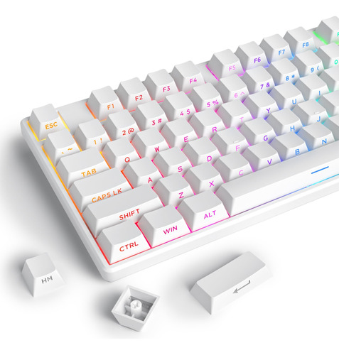 Teclas Retroiluminadas Rgb De Doble Disparo Para Teclado