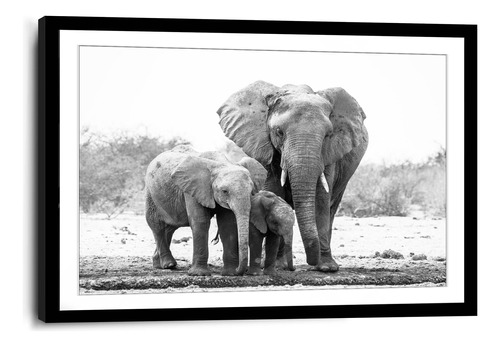 Marco De Poliuretano Con Poster Elefante Y Sus Crias 45x70cm